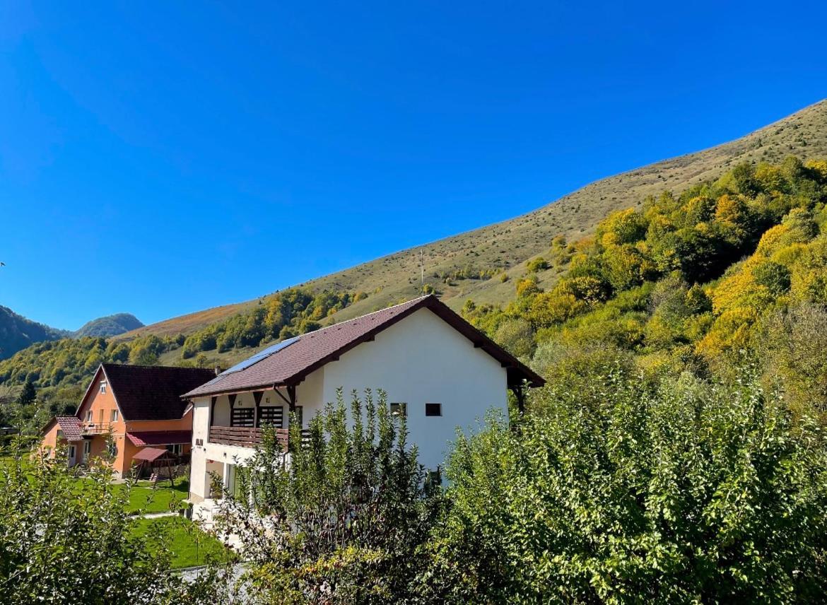 Pensiunea An De An Remeti Bagian luar foto