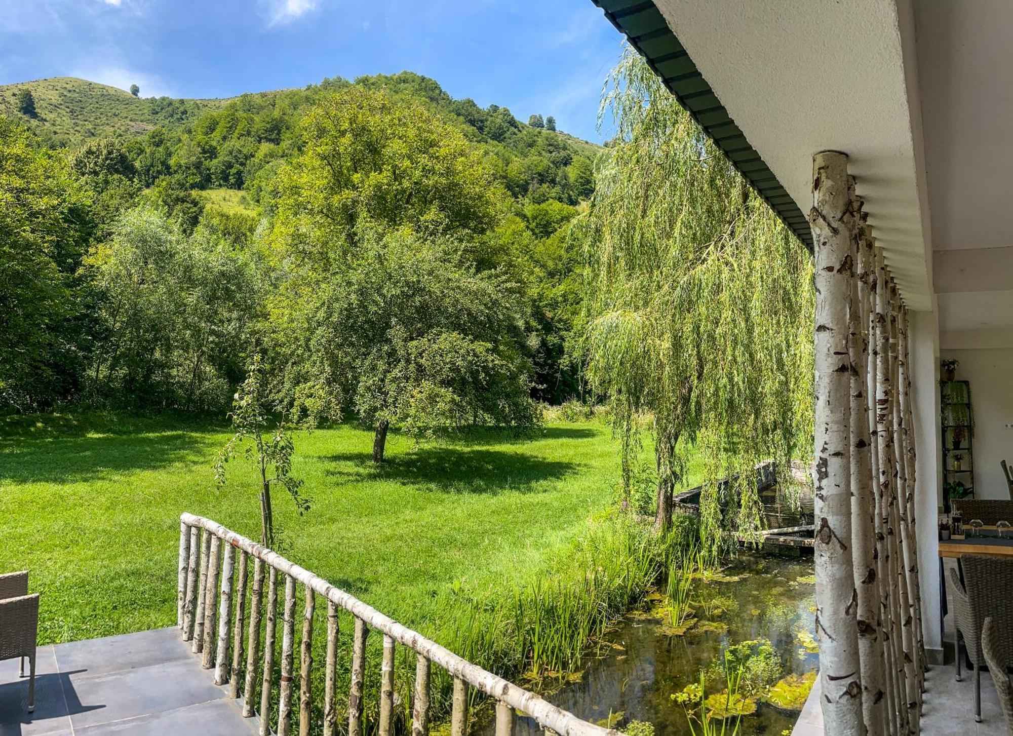 Pensiunea An De An Remeti Bagian luar foto