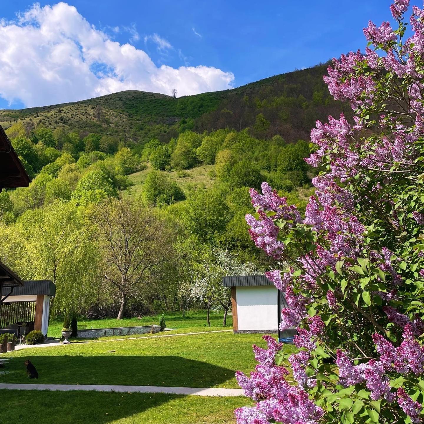 Pensiunea An De An Remeti Bagian luar foto